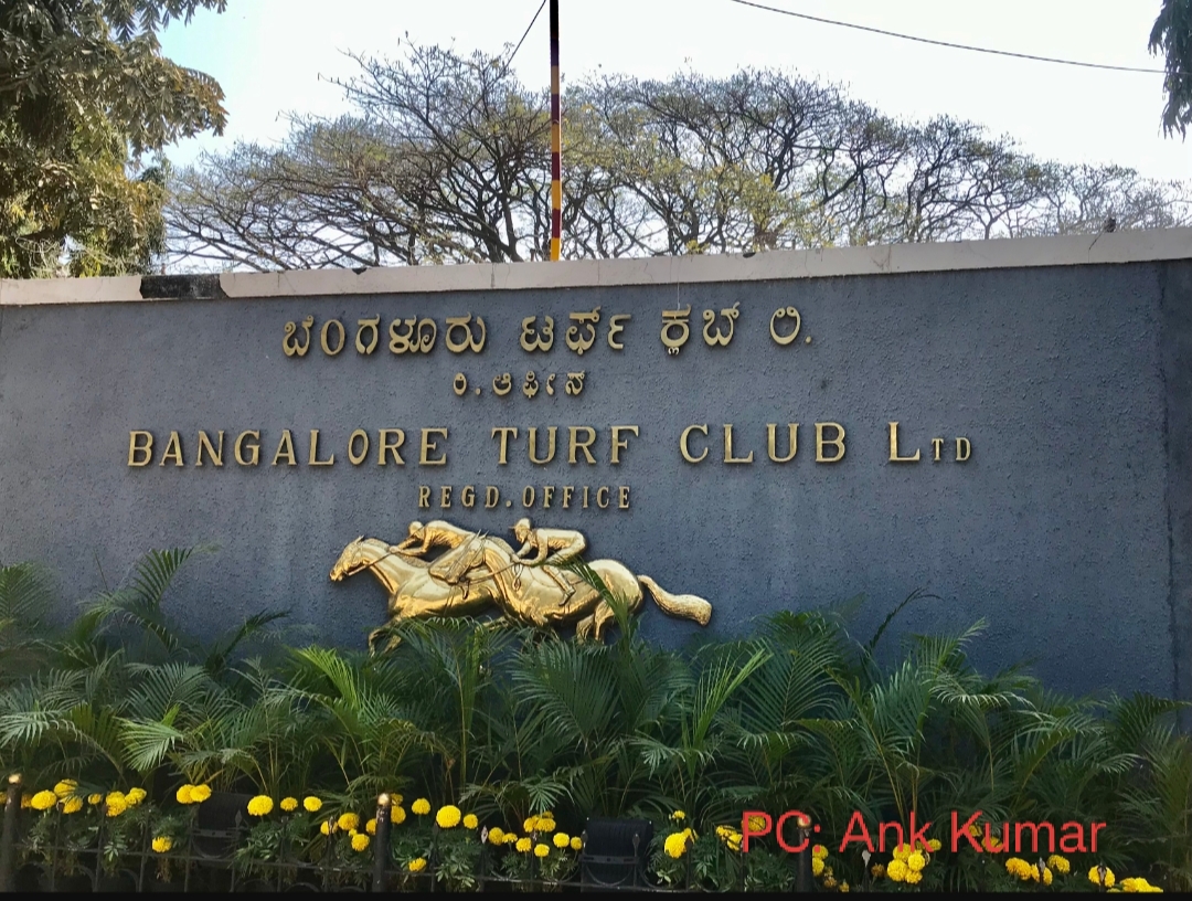 Karnataka HC Halts Horse Racing, Betting at Bangalore Turf Club - Naik Naik